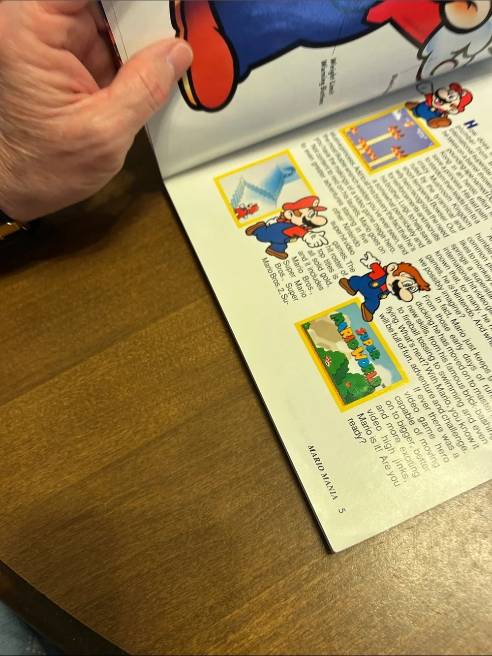 Nintendo Mario Mania Player's Guide 1991